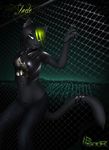  clothing feline female fishnet jade looking_at_viewer mammal panther piercing skimpy solo statik 