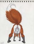  anthro anus breasts butt canine female fox malachi mammal nude plain_background pose presenting presenting_hindquarters pussy raised_tail solo tail white_background 