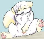  cub dingyote eyes_closed female feral fingering fur mammal masturbation nude pawpads pussy raccoon sachicoon sachicoon_(char) solo spread_legs spreading vaginal white white_fur young 