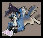  anthro avian beak bird blue blue_eyes blue_feathers blue_jay canine claws creating_art crow demicoeur drawing duo grey_background gryphon hybrid lying mammal on_front plain_background simple_background wings wolf 