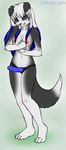  ajna anthro blue_eyes border_collie breasts canine darkduck64 dildo dog female hair janice long_hair looking_at_viewer lube mammal nipples plain_background sex_toy solo standing strapon tongue white_background 