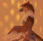  beak bird clothed clothing female gryphon hawk lingerie looking_at_viewer mab profile side_view sitting skimpy solo underwear winged_arms wings 