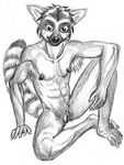  clapantgrifon clitoris cuntboy greyscale intersex lemur monochrome nude plain_background pussy sketch solo white_background 