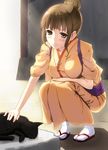  bangs black_cat blunt_bangs blush breasts brown_eyes brown_hair cat full_body hair_bun hanasaku_iroha hino_minato_(spec.c) japanese_clothes kimono kissuisou_uniform large_breasts light_rays light_smile nakai_(waitress) oshimizu_nako petting sandals shadow short_hair sidelocks smile solo squatting sunbeam sunlight tabi 