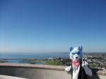  blue city clothing fur fursuit headband japan looking_at_viewer outside photo real sky solo water 