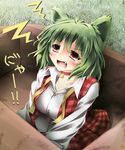  ahoge bell box breasts bunchin_(siso_junzy) collar fang green_hair highres in_box in_container kazami_yuuka kemonomimi_mode large_breasts open_mouth red_eyes short_hair solo touhou undone_necktie 