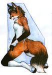  bottomless brzask bustier canine clothed clothing corset female fox green_eyes half-dressed kneeling legwear lingerie looking_at_viewer mammal plain_background skimpy solo stockings tanuki_(artist) white_background 