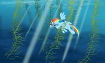  diving equine female feral friendship_is_magic fur horse lunar_apologist mammal my_little_pony pegasus pony rainbow_dash_(mlp) solo underwater water wings 