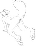  all_fours anthro breasts canine female leverpuller mammal nude plain_background presenting pussy raised_tail solo tail white_background wolf 