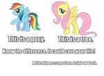  english_text equine female feral fluttershy_(mlp) friendship_is_magic fur hair horse mammal multi-colored_hair my_little_pony pegasus pink_hair plain_background pony rainbow_dash_(mlp) rainbow_hair text unknown_artist white_background wings 