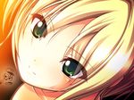  bad_id bad_pixiv_id blonde_hair face green_eyes hotaru_(akappera) original solo sweat 