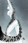  and anthro bilkaya breasts feline female leopard looking_at_viewer mammal nice nipples nude pussy snow snow_leopard snowing solo stretching wind with 