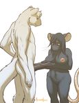  big_breasts big_penis breasts challenge_accepted couple dagudshit duo feline female male mammal meesh mink molly_(koyote) mouse mustelid nipples nude penis plain_background pussy rodent size_difference straight white_background 