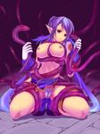  artist_request breasts cameltoe character_request highres judith large_breasts nipples pointy_ears tales_of_(series) tales_of_vesperia tentacle thong 