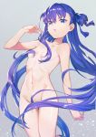  areolae blue_eyes blue_hair blue_ribbon breasts collarbone en@rain fate/extra fate/extra_ccc fate_(series) gradient_hair grey_background hair_between_eyes hair_censor hair_ribbon highres long_hair looking_at_viewer meltlilith multicolored_hair navel nude parted_lips purple_hair ribbon simple_background small_breasts smile solo standing thigh_gap very_long_hair 