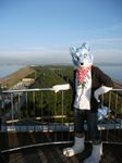  clothing fursuit japan landscape outside photo picture railing real scenery solo 