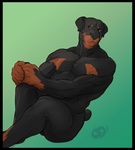  canine dog ga-be green_background looking_at_viewer male mammal muscles nude plain_background rottweiler sitting solo 