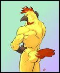  avian back ga-be looking_at_viewer male muscles nude rooster solo unknown_species 