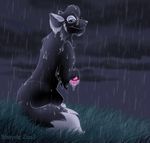  canine dark female feral from_behind its_raining mammal paws rain shayde shayde_(artist) solo water wet wolf 