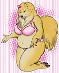  bra breasts canine chubby clothed clothing dog fat female fluffy looking_at_viewer mammal overweight pomeranian skimpy solo tail underwear unknown_artist 
