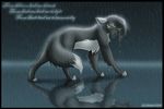 female feral immortality mammal rain reflection shayde shayde_(artist) solo wet wolf 
