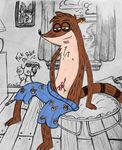  electricfox male mammal nipples penis piercing raccoon regular_show rigby rigby_(regular_show) solo topless 
