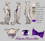 characterrefsheet eyewear ferret glasses mammal model_sheet mustelid purple_eyes purpleeyes unknown_artist 