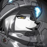  animated awesome canine dog female gif heterochromia husky low_res mammal medic solo starcraft tridark wolf 