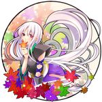  cocoa_(cafe-hotcocoa) japanese_clothes katanagatari leaf long_hair maple_leaf purple_eyes solo togame very_long_hair white_hair 