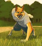  canine clothing dog english_text exercise forest german_shepherd grass green_eyes kanic looking_at_viewer male mammal military razi shorts solo text tree wood 