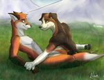  canine dog duo eye_contact fox gay grass looking_at_each_other male mammal neash nude outside public 