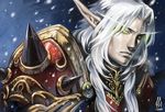  armor blood_elf glowing glowing_eyes green_eyes long_hair male_focus mtfy paladin_(world_of_warcraft) pointy_ears shoulder_armor snowing solo spaulders warcraft white_hair world_of_warcraft 