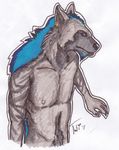  blue_mane hair hash hyena male mammal mane plain_background solo tuulisusi white_background 