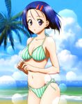  absurdres beach bikini blue_hair mizugi palm palm_tree sairenji_haruna short_hair to_love-ru 