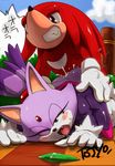  aku_tojyo blaze_the_cat blush clothed_sex crystal cum cum_in_pussy cum_inside doggystyle drooling echidna feline furry knuckles_the_echidna nancher open_mouth orgasm outdoors saliva sega sex sonic_(series) sonic_the_hedgehog tail text 