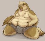  blue_eyes boxers bulge canine dog erection fat fatty german_shepherd hoss love_handles male mammal obese overweight penis shep solo tongue underwear 