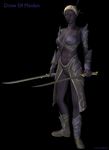  armor bikini_armor dark_skin drow dual_wield dual_wielding elf midriff sword weapon 