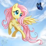  arthropod butterfly equine female feral fluttershy_(mlp) friendship_is_magic hasbro insect mammal metalpandora my_little_pony pegasus solo wings 