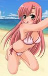  bikini hayate_no_gotoku! katsura_hinagiku mizugi toshio 