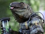  antonio_peres armor body_in_mouth eating glass hi_res iguana lizard mantis power_armor realistic reptile scalie solo tube vore 
