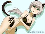  animal_ears bad_id bad_pixiv_id bikini breasts cleavage dutch_angle green_eyes halterneck hanna_rudel long_hair mackey_(mthc_riku) medium_breasts ponytail scar side-tie_bikini silver_hair solo swimsuit tail wallpaper world_witches_series 