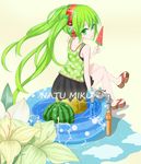  faucet flower food from_behind fruit green_eyes green_hair hatsune_miku headphones long_hair looking_back popsicle sandals sitting skirt solo twintails very_long_hair vocaloid wading_pool water watermelon watermelon_bar yato 