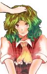  ascot bad_id bad_pixiv_id blush flan_(harry_mackenzie) flower frown green_hair kazami_yuuka messy_hair out_of_frame petting plaid plaid_vest red_eyes short_hair solo_focus sunflower touhou vest wavy_hair white_background 