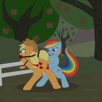  animated applejack friendship_is_magic my_little_pony rainbow_dash 