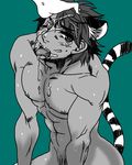  kotetsu_t._kaburagi tagme tiger_and_bunny wild_tiger 