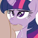  friendship_is_magic my_little_pony saltcore tagme twilight_sparkle 