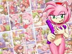  amy_rose bbmbbf cosmo_the_seedrian palcomix shade_the_echidna sonic_team 