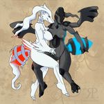  pokemon reshiram rotsuoywolfen tagme zekrom 