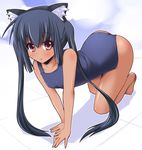  all_fours animal_ears black_hair brown_eyes cat_ears k-on! long_hair nakano_azusa one-piece_swimsuit school_swimsuit shinshin solo swimsuit tan twintails 