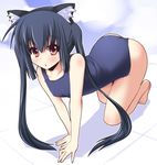  all_fours animal_ears barefoot black_hair brown_eyes cat_ears k-on! long_hair nakano_azusa one-piece_swimsuit school_swimsuit shinshin solo swimsuit twintails 